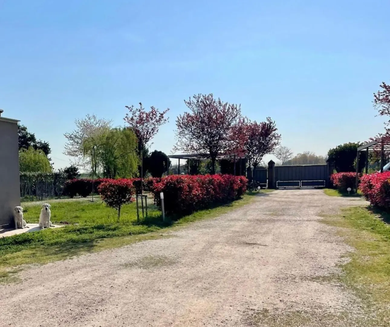 Residence Ca Giuliocesare Castiglione di Ravenna 0*,